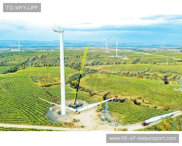 俱乐部以“青少年+产业链+绿色生态”融合路径，推动绿色转型迈上新台阶