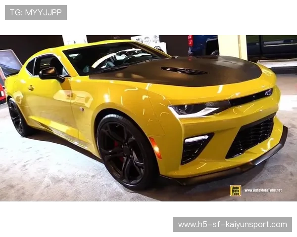 大黄蜂来袭，斑马军团危险了！，大黄蜂野马